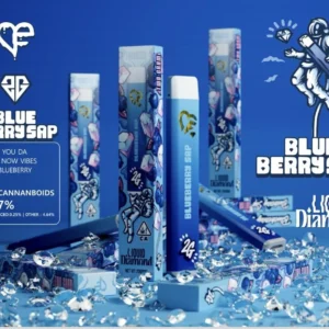 Favorites Blueberry Sap disposable